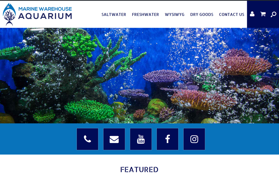 marine aquarium warehouse marine aquarium warehouse