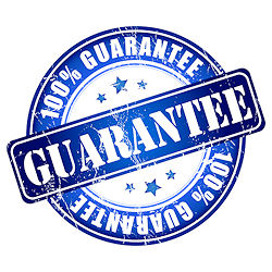 guaranteed search engine ranking