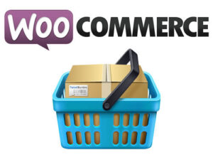 custom ecommerce solution