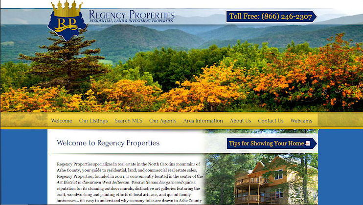 real estate IDX web design